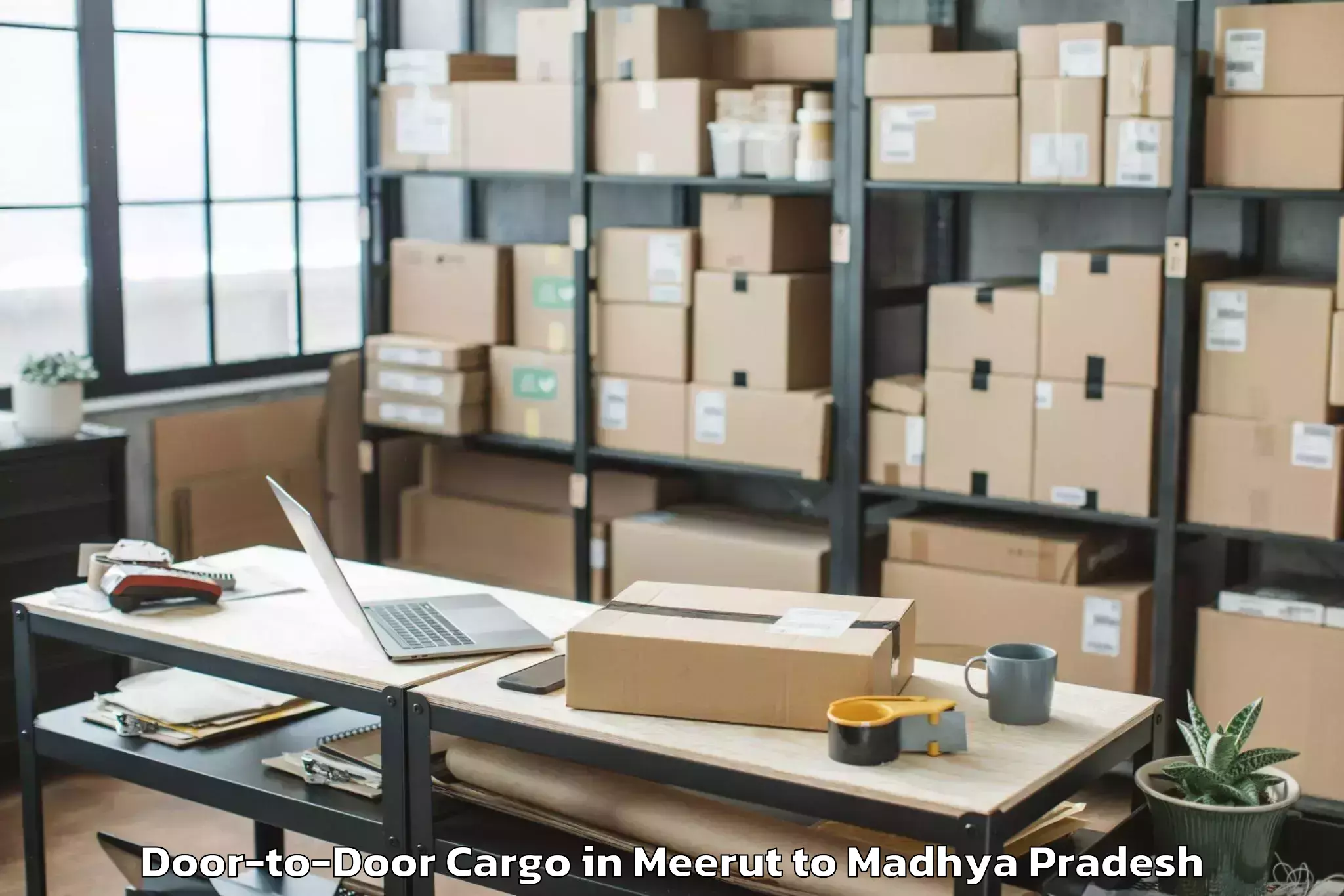 Hassle-Free Meerut to Vijayraghavgarh Door To Door Cargo